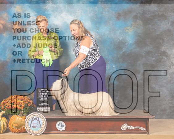 Sky Terrier #6 Sat OHG2 Judge Joanne Buehler-MMJ_5861-Humble2021