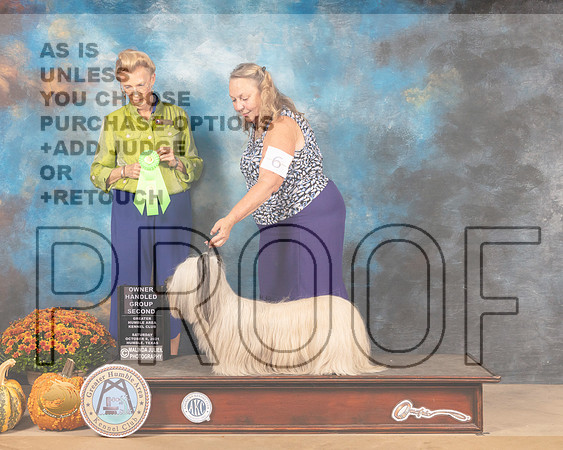 Sky Terrier #6 Sat OHG2 Judge Joanne Buehler-MMJ_5863-Humble2021