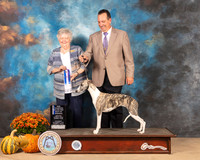 Whippet #24 Sat BOW Judge Claudia Seaberg