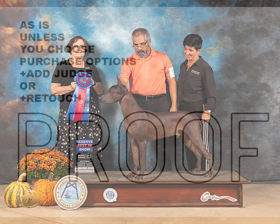 Xolo #5 Sat RBIS Judge Anne Gallant-MMJ_5997-Humble2021
