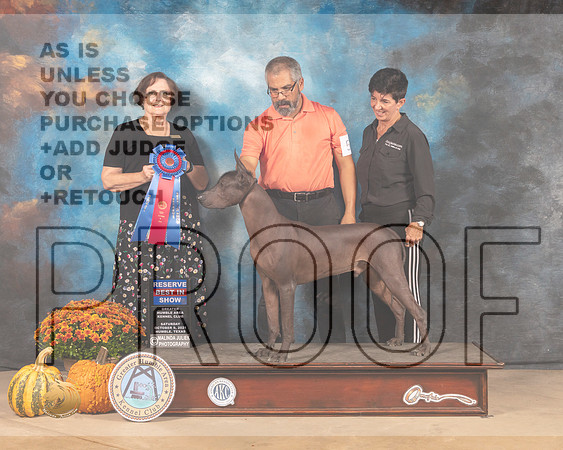 Xolo #5 Sat RBIS Judge Anne Gallant-MMJ_5996-Humble2021