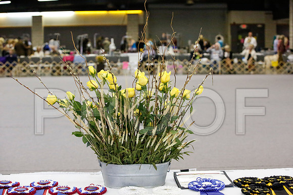 _JJ_3371-AfgNtlBltnOct2014-HR3