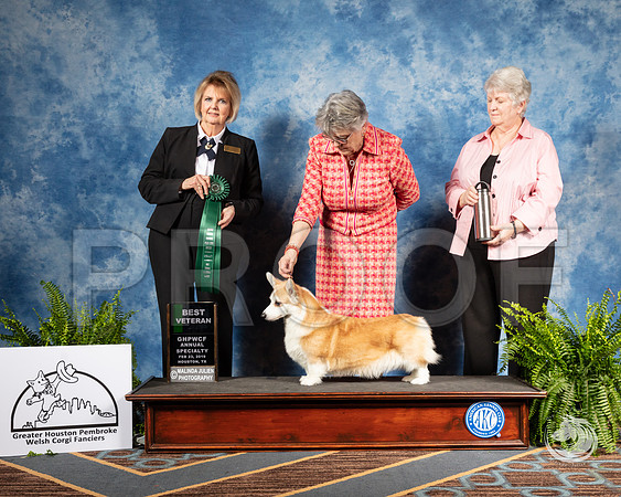 Corgi #108 Sat Best Vet Judge Gayle GarvinSSR_2943-CorgiHstn2019-HR3