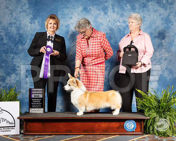 Corgi #11 Sat RWD Judge Gayle GarvinSSR_2922-CorgiHstn2019-HR3