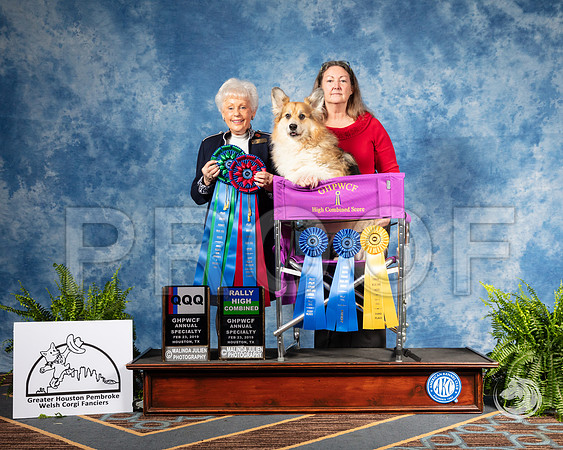 Corgi #23 Sat QQQ RHC Judge Lynn EggersSSR_2875-CorgiHstn2019-HR3