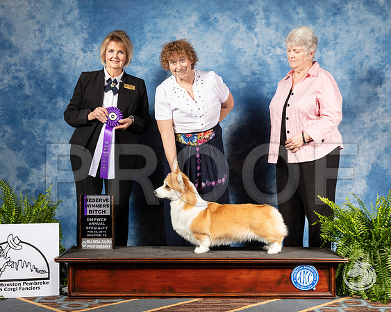 Corgi #44 Sat RWB Judge Gayle GarvinSSR_2918-CorgiHstn2019-HR3