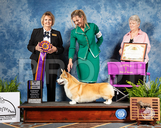 Corgi #63 Sat BOB Judge Gayle GarvinSSR_2908-CorgiHstn2019-HR3