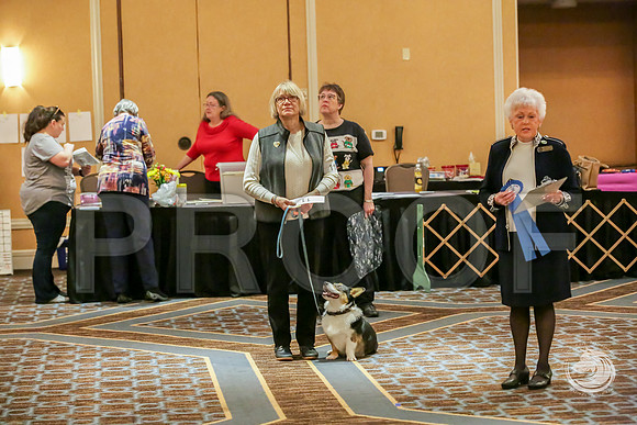 RAlly Rings AWARDS 2 SatJJJ_8244-CorgiHstn2019-HR3