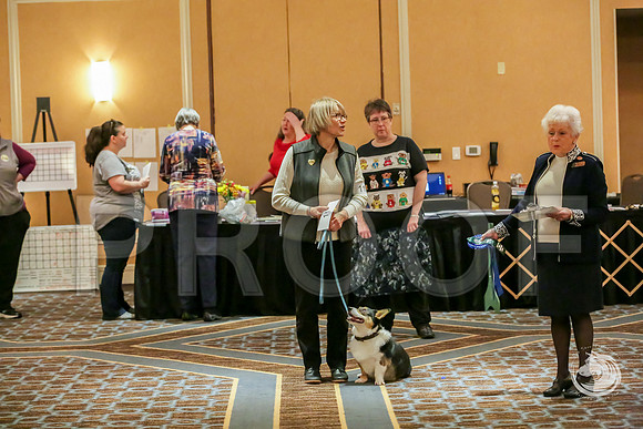 RAlly Rings AWARDS 2 SatJJJ_8245-CorgiHstn2019-HR3