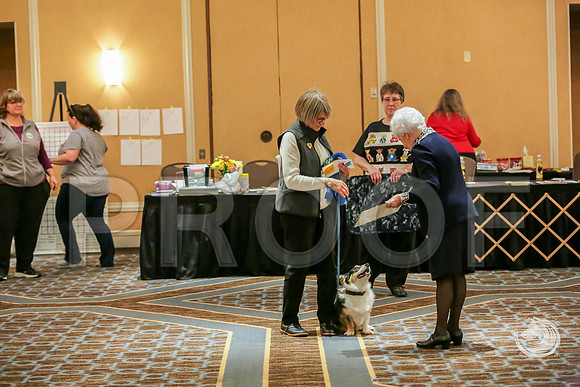 RAlly Rings AWARDS 2 SatJJJ_8256-CorgiHstn2019-HR3