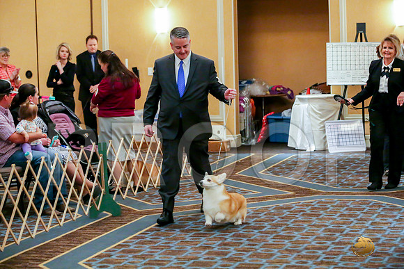 Veterans Sat RingsJJJ_0010-CorgiHstn2019-HR3