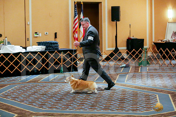 Veterans Sat RingsJJJ_0020-CorgiHstn2019-HR3