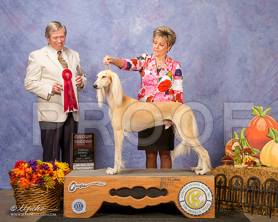 _CL_4509-SanAngelo2014-HR3