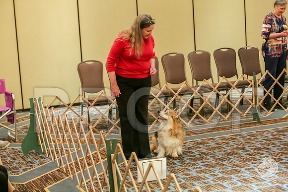 Rally Rings #23 Sat 2JJJ_7478-CorgiHstn2019-HR3