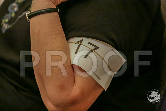 Rally Rings AWARDS SatJJJ_7829-CorgiHstn2019-HR3