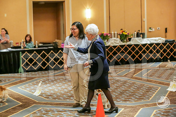 Rally Rings AWARDS SatJJJ_7831-CorgiHstn2019-HR3