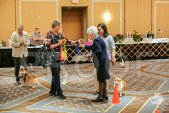 Rally Rings AWARDS SatJJJ_7832-CorgiHstn2019-HR3