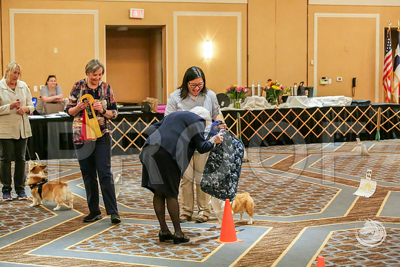 Rally Rings AWARDS SatJJJ_7835-CorgiHstn2019-HR3
