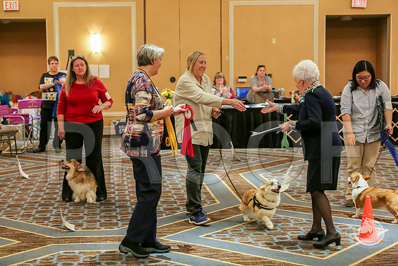 Rally Rings AWARDS SatJJJ_7837-CorgiHstn2019-HR3