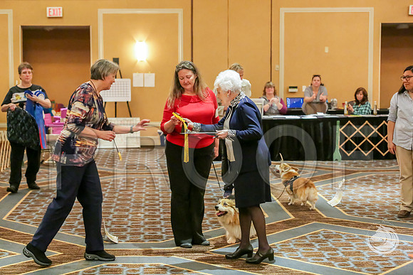 Rally Rings AWARDS SatJJJ_7850-CorgiHstn2019-HR3