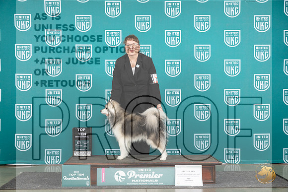 Alaskan Klee Kai #223 Thurs T10 Judge Rick Gann__JP_0845_Premier_2024_HR3