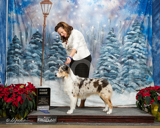 _ST_9381-DallasDec2014-HR3