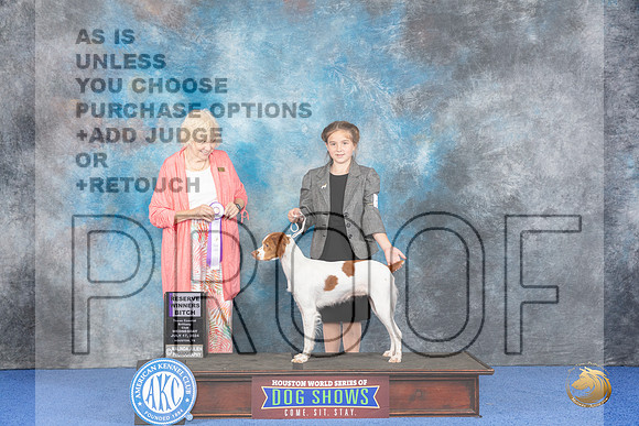 Brittany #24 WED RSV Judge Nancy Liebes__JP_6755_Houston_2024_HR3