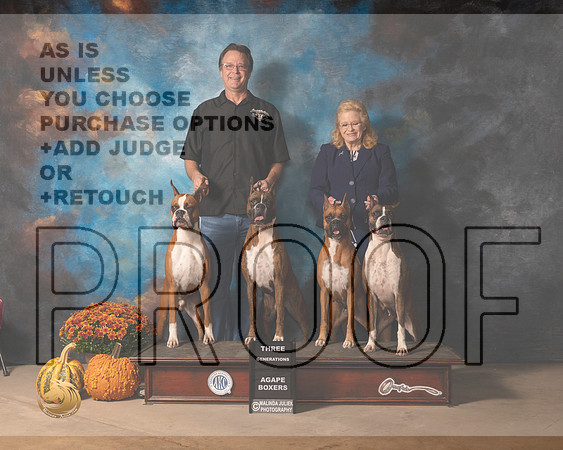 Boxers Agape -MMJ_0014-Humble2021