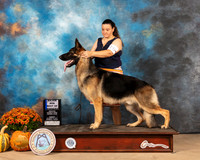 German Shepherd Dog #7 Sun BOW Judge Gary Sparschu