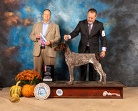 German Shorthaired Pointer #10 Sun BOWBOS Jduge Jay Richardson
