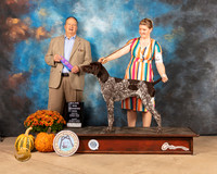 German Shorthaired Pointer #15 Sun WD Judge Jay Richardson