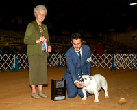 Bulldog #26 Sat BOS Maj Judge Paula Hartinger
