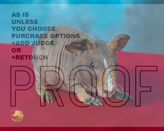 Prim-MMJ_0011-Humble2021