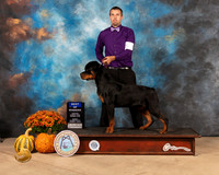 Rottweiler #5 Sun BOW Judge Dale Meyer