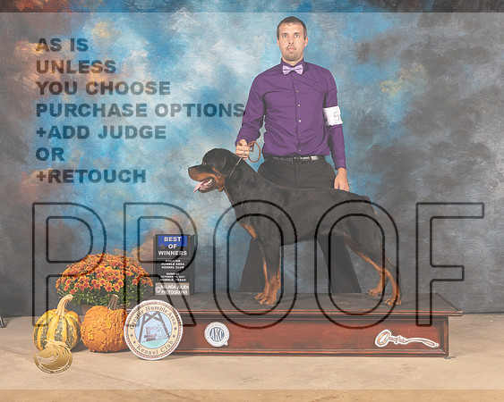 Rottweiler #5 Sun BOW Judge Dale Meyer-MMJ_0025-Humble2021