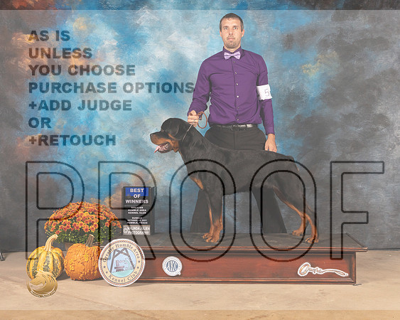 Rottweiler #5 Sun BOW Judge Dale Meyer-MMJ_0027-Humble2021