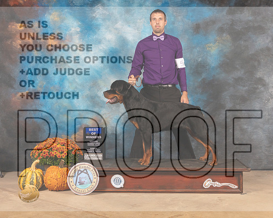 Rottweiler #5 Sun BOW Judge Dale Meyer-MMJ_0029-Humble2021
