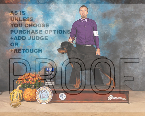 Rottweiler #5 Sun BOW Judge Dale Meyer-MMJ_0032-Humble2021