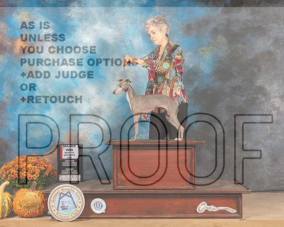 Italian Greyhound #8 BOSWB Judge Mary Napper-MMJ_6025-Humble2021