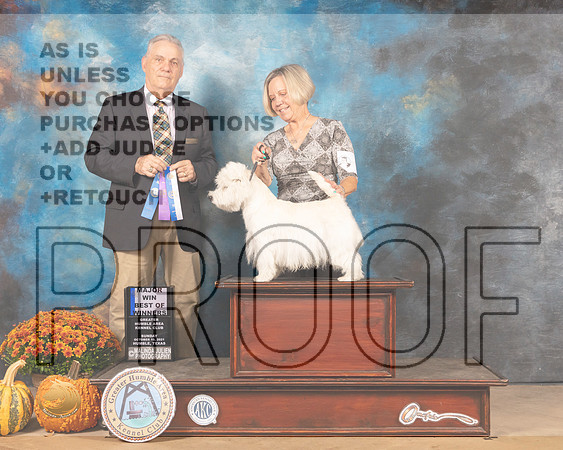 West Highland White Terrier $5 Sun BOW Judge Phillip Briasco-MMJ_6109-Humble2021