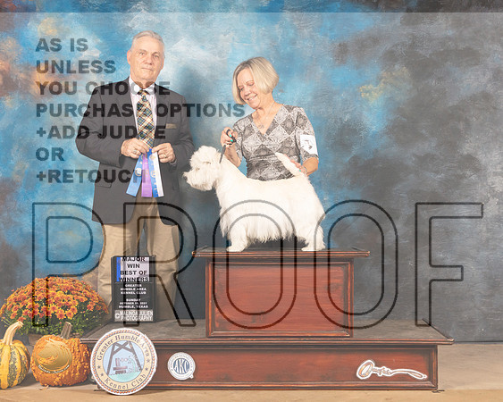 West Highland White Terrier $5 Sun BOW Judge Phillip Briasco-MMJ_6110-Humble2021