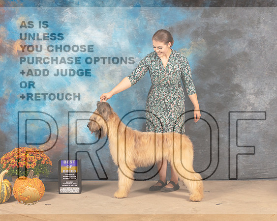 Briard #6 Sun BOBWB Judge Gary Sparschu-MMJ_6122-Humble2021