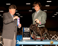 French Bulldog #25 Fri BOW Maj Judge Charles Olvis