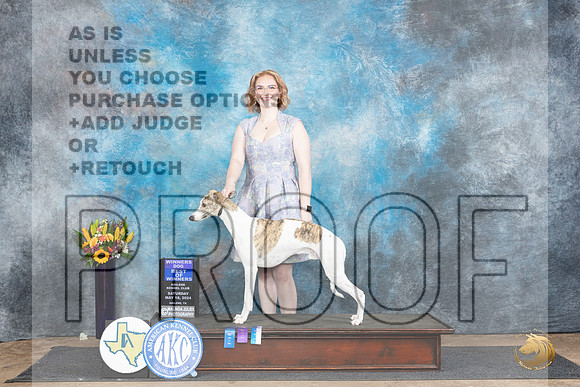 Whippet #7 Fri BOW no judge__JP_9799_Abilene_2024_HR3