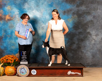Basenji #7 BOW WD Judge Anne Gallant