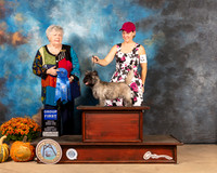 Cairn Terrier #5 Sun G1 Judge Claudia Seaberg