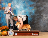 Cardigan Welsh Corgi #19 Sun SD Judge Gary Sparschu