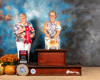 Chihuahua Long Coat #6 Sun G2 Judge Mary Napper