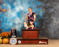 Chihuahua Long Coat #7 Sun BOS Judge Mary Napper R