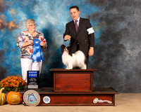 Papillon #5 Sun G1 Judge Mary Napper